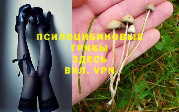 марихуана Володарск