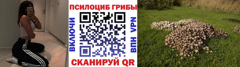 Галлюциногенные грибы мицелий  сайты даркнета какой сайт  Рубцовск  цены наркотик 
